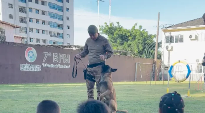 7º BPM promove ação social com crianças de centros de acolhimento em São José Apresentação do Canil do 7º BPM durante ação social, mostrando a interação entre policial, cão de faro e crianças para fins educativos e de aproximação com a comunidade.