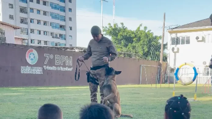 7° BPM Apresentação do Canil do 7º BPM durante ação social, mostrando a interação entre policial, cão de faro e crianças para fins educativos e de aproximação com a comunidade.