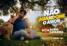 Homem sentado em um parque abraça seu cachorro; banner da campanha do Governo de SC sobre abandono de animais ao fundo, destacando a conscientização e o cuidado com os pets.