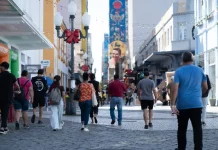 Pessoas caminham pelo centro de Florianópolis em dia ensolarado, ilustrando a movimentação urbana e o cotidiano da população no contexto da matéria sobre distribuição de renda em Santa Catarina.
