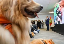 Governo libera primeiros recursos do programa Pet Levado a Sério aos municípios Evento oficial do Governo de Santa Catarina apresenta o programa Pet Levado a Sério, mostrando cães presentes na cerimônia enquanto autoridades explicam as ações de bem-estar animal.