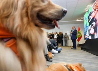 Governo libera primeiros recursos do programa Pet Levado a Sério aos municípios Evento oficial do Governo de Santa Catarina apresenta o programa Pet Levado a Sério, mostrando cães presentes na cerimônia enquanto autoridades explicam as ações de bem-estar animal.