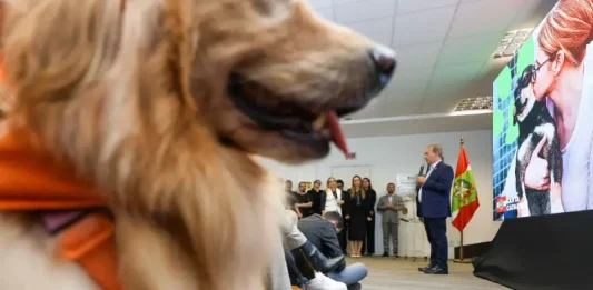 Governo libera primeiros recursos do programa Pet Levado a Sério aos municípios Evento oficial do Governo de Santa Catarina apresenta o programa Pet Levado a Sério, mostrando cães presentes na cerimônia enquanto autoridades explicam as ações de bem-estar animal.