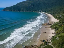 Florianópolis inicia projeto Praia Lixo Zero na Praia do Matadeiro Imagem aérea da Praia do Matadeiro, em Florianópolis, destacando a faixa de areia, o mar e a área natural preservada onde será implantado o projeto Praia Lixo Zero.