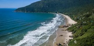 Imagem aérea da Praia do Matadeiro, em Florianópolis, destacando a faixa de areia, o mar e a área natural preservada onde será implantado o projeto Praia Lixo Zero.