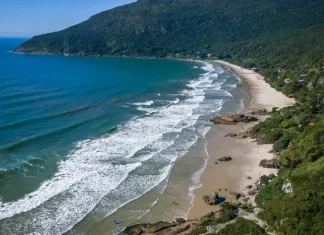 Florianópolis inicia projeto Praia Lixo Zero na Praia do Matadeiro Imagem aérea da Praia do Matadeiro, em Florianópolis, destacando a faixa de areia, o mar e a área natural preservada onde será implantado o projeto Praia Lixo Zero.