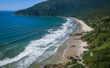 Florianópolis inicia projeto Praia Lixo Zero na Praia do Matadeiro Imagem aérea da Praia do Matadeiro, em Florianópolis, destacando a faixa de areia, o mar e a área natural preservada onde será implantado o projeto Praia Lixo Zero.
