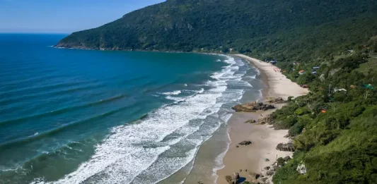 Florianópolis inicia projeto Praia Lixo Zero na Praia do Matadeiro Imagem aérea da Praia do Matadeiro, em Florianópolis, destacando a faixa de areia, o mar e a área natural preservada onde será implantado o projeto Praia Lixo Zero.