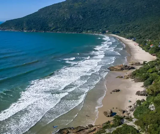 Florianópolis inicia projeto Praia Lixo Zero na Praia do Matadeiro Imagem aérea da Praia do Matadeiro, em Florianópolis, destacando a faixa de areia, o mar e a área natural preservada onde será implantado o projeto Praia Lixo Zero.