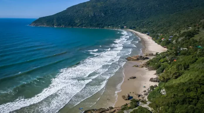 Imagem aérea da Praia do Matadeiro, em Florianópolis, destacando a faixa de areia, o mar e a área natural preservada onde será implantado o projeto Praia Lixo Zero.