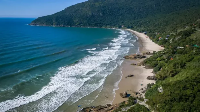 Praia do Matadeiro Imagem aérea da Praia do Matadeiro, em Florianópolis, destacando a faixa de areia, o mar e a área natural preservada onde será implantado o projeto Praia Lixo Zero.