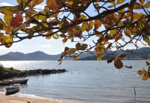 Litoral de Santa Catarina com barcos, mar e folhagem — imagem para reportagem sobre a última semana da primavera com temporais.