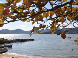 Litoral de Santa Catarina com barcos, mar e folhagem — imagem para reportagem sobre a última semana da primavera com temporais.