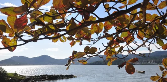 Última semana da primavera começa com temporais e termina com calor em SC Litoral de Santa Catarina com barcos, mar e folhagem — imagem para reportagem sobre a última semana da primavera com temporais.