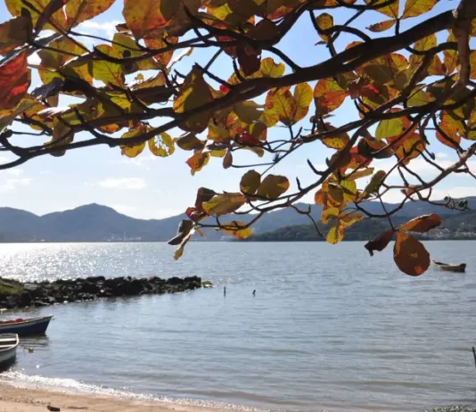 Última semana da primavera começa com temporais e termina com calor em SC Litoral de Santa Catarina com barcos, mar e folhagem — imagem para reportagem sobre a última semana da primavera com temporais.