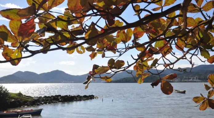 Litoral de Santa Catarina com barcos, mar e folhagem — imagem para reportagem sobre a última semana da primavera com temporais.