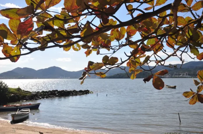 Primavera Litoral de Santa Catarina com barcos, mar e folhagem — imagem para reportagem sobre a última semana da primavera com temporais.