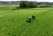 Programa Coopera Agro SC é aprovado na Alesc e destina R$ 1 bilhão em crédito ao agronegócio Foto mostra um trator trabalhando em uma lavoura verde, ilustrando ações de produção agrícola e o objetivo de fortalecer o setor por meio do Programa Coopera Agro SC.