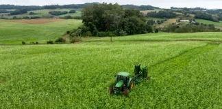 Foto mostra um trator trabalhando em uma lavoura verde, ilustrando ações de produção agrícola e o objetivo de fortalecer o setor por meio do Programa Coopera Agro SC.