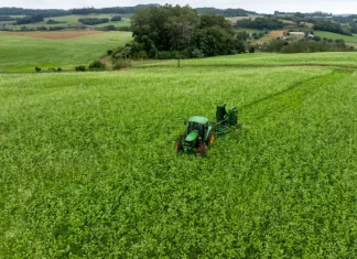 Programa Coopera Agro SC é aprovado na Alesc e destina R$ 1 bilhão em crédito ao agronegócio Foto mostra um trator trabalhando em uma lavoura verde, ilustrando ações de produção agrícola e o objetivo de fortalecer o setor por meio do Programa Coopera Agro SC.