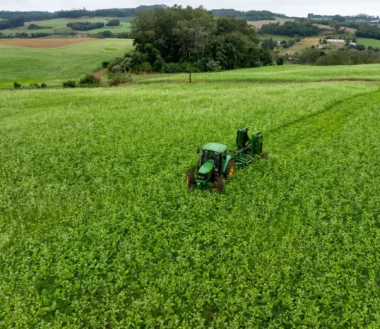 Programa Coopera Agro SC é aprovado na Alesc e destina R$ 1 bilhão em crédito ao agronegócio Foto mostra um trator trabalhando em uma lavoura verde, ilustrando ações de produção agrícola e o objetivo de fortalecer o setor por meio do Programa Coopera Agro SC.