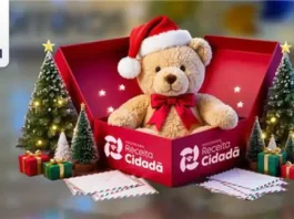 Imagem institucional da Receita Federal com urso de pelúcia usando gorro de Natal dentro de uma caixa da campanha Receita Cidadã, ao lado de árvores natalinas e presentes, simbolizando doações para o Papai Noel dos Correios.