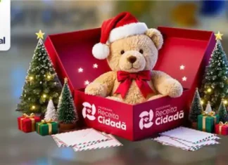 Doações da Receita Federal atendem 50 mil cartinhas da campanha Papai Noel dos Correios Imagem institucional da Receita Federal com urso de pelúcia usando gorro de Natal dentro de uma caixa da campanha Receita Cidadã, ao lado de árvores natalinas e presentes, simbolizando doações para o Papai Noel dos Correios.