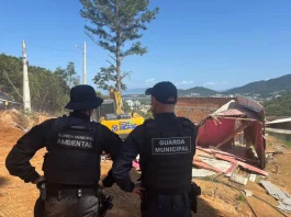 Operação Solo Legal demole 21 construções irregulares em Florianópolis agentes da Guarda Municipal e da Guarda Municipal Ambiental acompanham a demolição de construções irregulares para garantir segurança e cumprimento da ação
