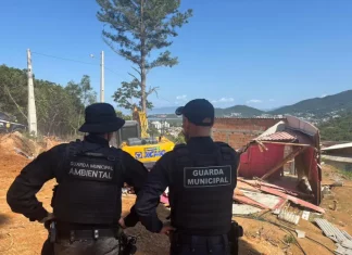 agentes da Guarda Municipal e da Guarda Municipal Ambiental acompanham a demolição de construções irregulares para garantir segurança e cumprimento da ação