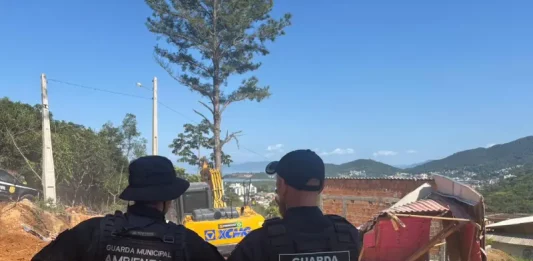 Operação Solo Legal demole 21 construções irregulares em Florianópolis agentes da Guarda Municipal e da Guarda Municipal Ambiental acompanham a demolição de construções irregulares para garantir segurança e cumprimento da ação