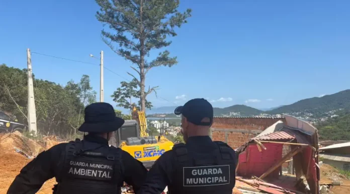 agentes da Guarda Municipal e da Guarda Municipal Ambiental acompanham a demolição de construções irregulares para garantir segurança e cumprimento da ação