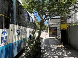 MPSC recomenda suspender extinção do pagamento em dinheiro no transporte de Florianópolis ônibus urbano de Florianópolis parado para pegar passageiros, ilustrando ação do MPSC sobre mudança na forma de pagamento no transporte coletivo