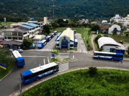 Ônibus estacionados em terminal de Florianópolis, representando o transporte coletivo gratuito aos domingos durante o verão.