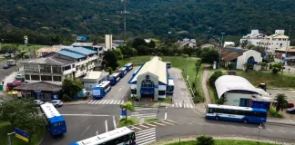 Ônibus estacionados em terminal de Florianópolis, representando o transporte coletivo gratuito aos domingos durante o verão.
