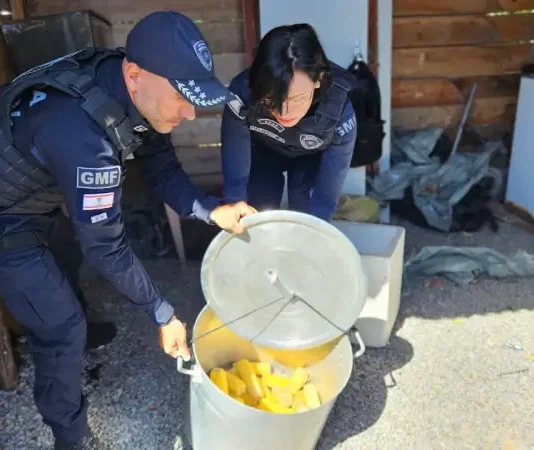 Florianópolis intensifica fiscalização e retira ambulantes irregulares da Praia da Daniela Agentes da Guarda Municipal de Florianópolis fiscalizam e apreendem alimentos irregulares durante ação contra comércio ambulante ilegal na Praia da Daniela.