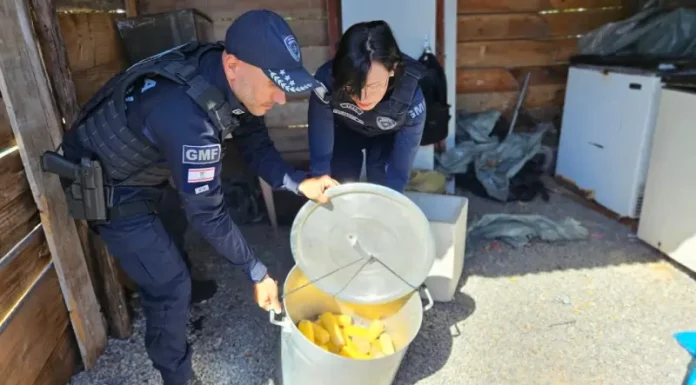 Agentes da Guarda Municipal de Florianópolis fiscalizam e apreendem alimentos irregulares durante ação contra comércio ambulante ilegal na Praia da Daniela.