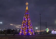 Árvore de Natal decorada e iluminada, símbolo das celebrações natalinas em São José.