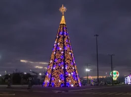 São José acende luzes de Natal e inaugura árvore e Casa do Papai Noel Árvore de Natal decorada e iluminada, símbolo das celebrações natalinas em São José.