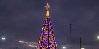 Árvore de Natal decorada e iluminada, símbolo das celebrações natalinas em São José.