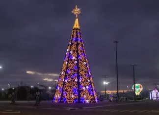 São José acende luzes de Natal e inaugura árvore e Casa do Papai Noel Árvore de Natal decorada e iluminada, símbolo das celebrações natalinas em São José.