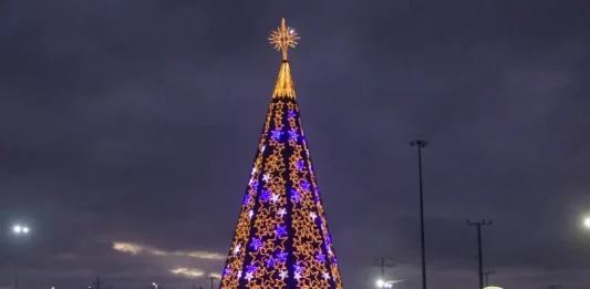 Árvore de Natal decorada e iluminada, símbolo das celebrações natalinas em São José.