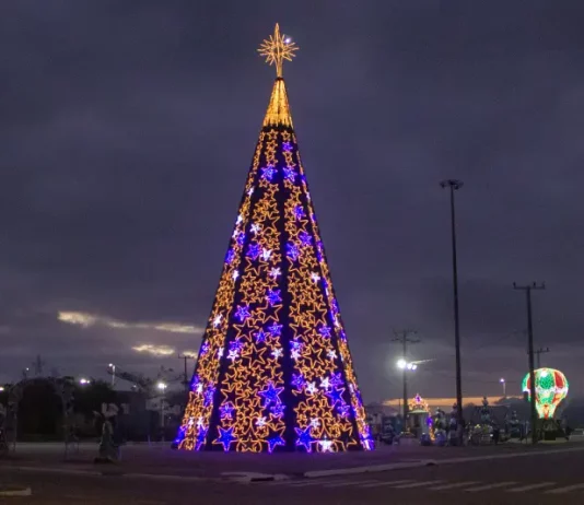Árvore de Natal decorada e iluminada, símbolo das celebrações natalinas em São José.
