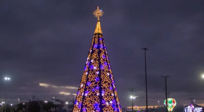 Árvore de Natal decorada e iluminada, símbolo das celebrações natalinas em São José.
