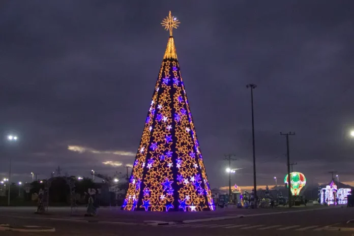 Árvore de Natal decorada e iluminada, símbolo das celebrações natalinas em São José.