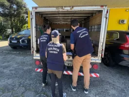 PRF flagra 1,5 tonelada de carne imprópria para consumo humano em Palhoça agentes da vigilância sanitária fiscalizando carga de carne imprópria para consumo humano, em baú de caminhão