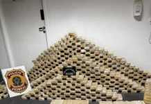 Tabletes de cocaína empilhados ao lado do símbolo da Polícia Federal, mostrando a quantidade de drogas apreendidas durante a operação em Blumenau.