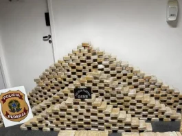 Polícia Federal e PMSC apreendem 613 kg de cocaína em bunker subterrâneo em Blumenau Tabletes de cocaína empilhados ao lado do símbolo da Polícia Federal, mostrando a quantidade de drogas apreendidas durante a operação em Blumenau.