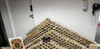 Tabletes de cocaína empilhados ao lado do símbolo da Polícia Federal, mostrando a quantidade de drogas apreendidas durante a operação em Blumenau.