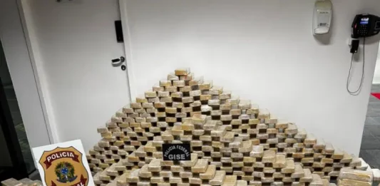 Tabletes de cocaína empilhados ao lado do símbolo da Polícia Federal, mostrando a quantidade de drogas apreendidas durante a operação em Blumenau.