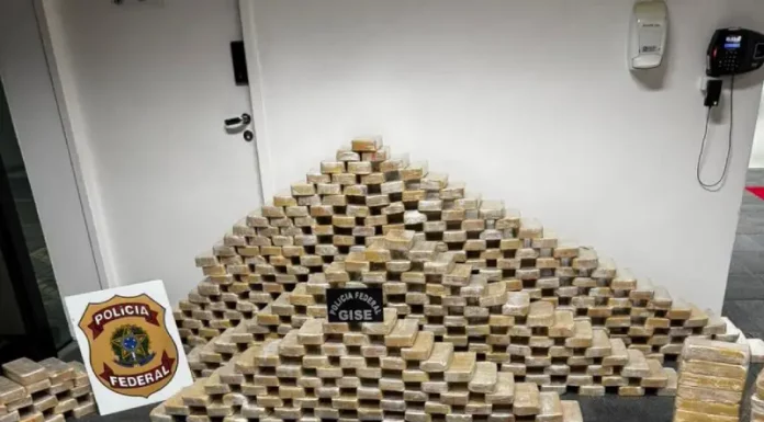 Polícia Federal e PMSC apreendem 613 kg de cocaína em bunker subterrâneo em Blumenau Tabletes de cocaína empilhados ao lado do símbolo da Polícia Federal, mostrando a quantidade de drogas apreendidas durante a operação em Blumenau.